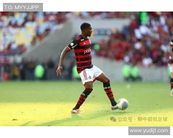 巴西足球新星崛起盘点未来之星名单与潜力分析