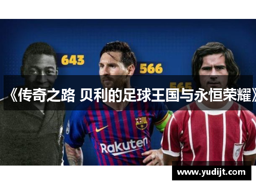《传奇之路 贝利的足球王国与永恒荣耀》